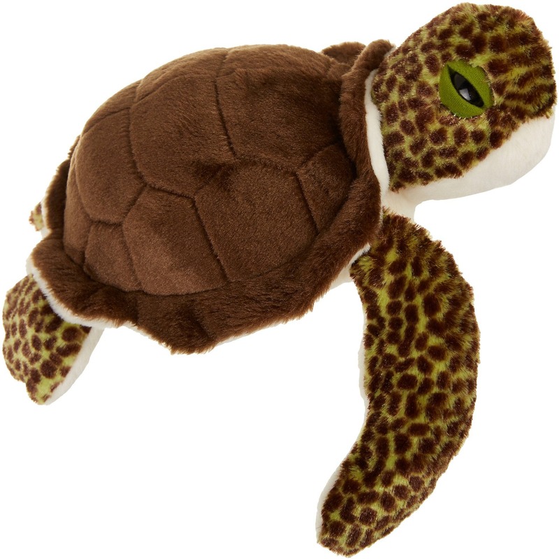 Soft plush turtle