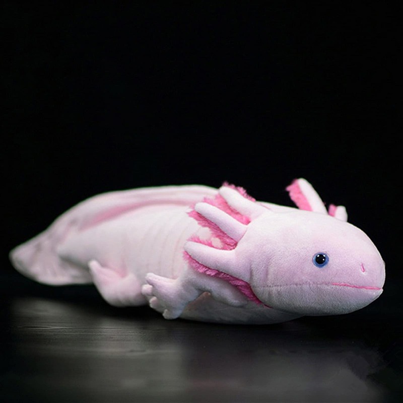 Axolotl plush toy
